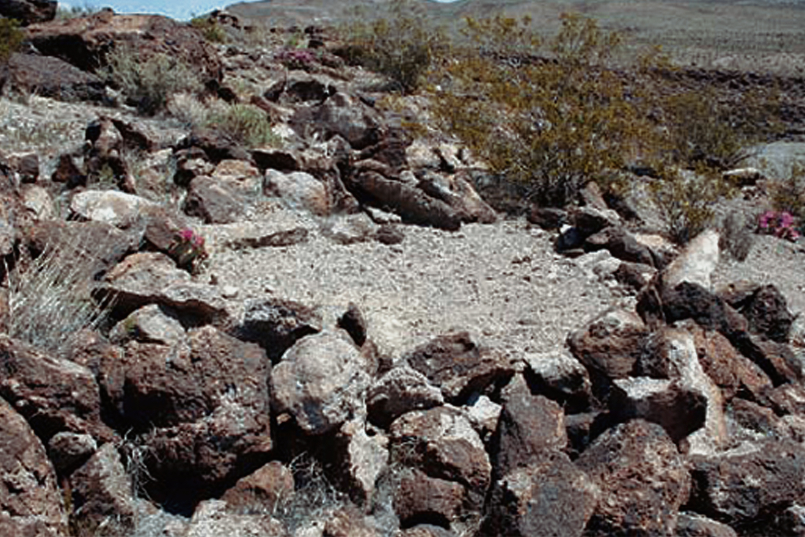 Nevada Rock Art America USA