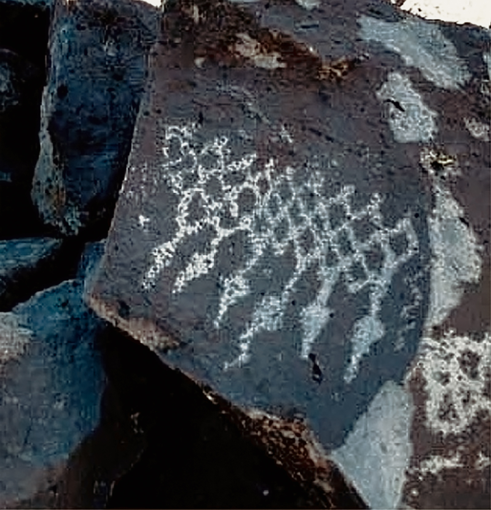 Nevada Rock Art America USA