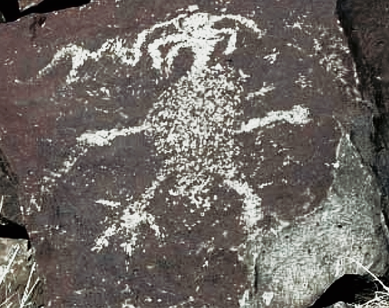 Nevada Rock Art America USA