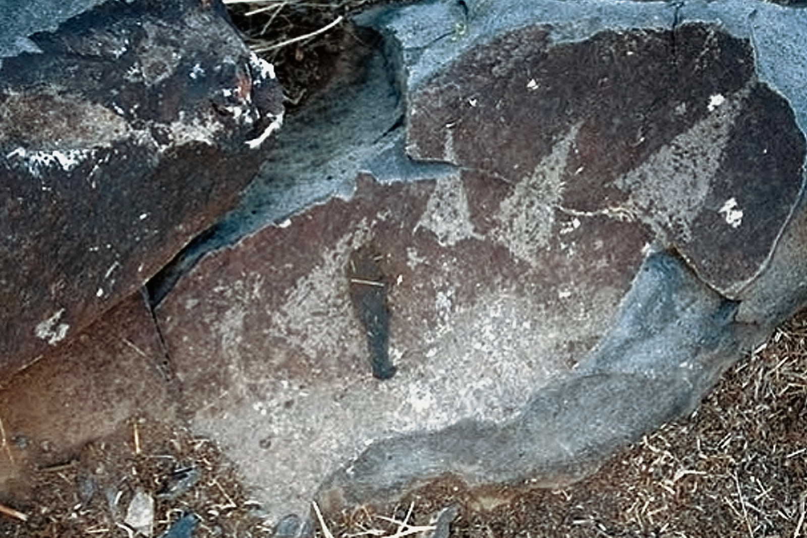Nevada Rock Art America USA