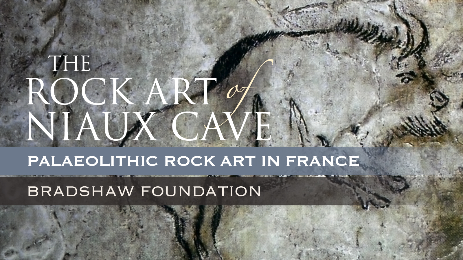 Bradshaw Foundation Palaeolithic Cave Art Paintings Niaux Cave France