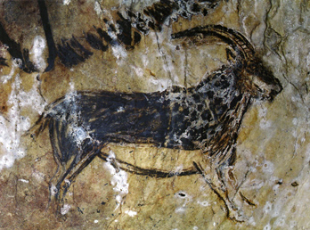 niaux cave paintings france
