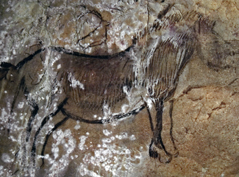 niaux cave paintings france