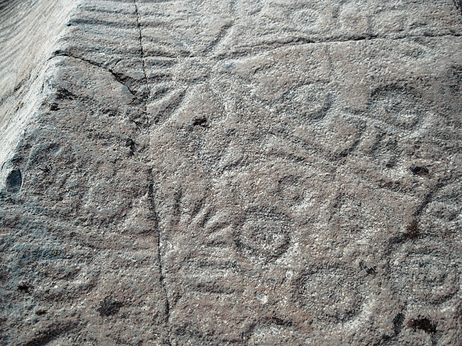 Oregon Territory America Rock Art Petroglyphs Pictographs