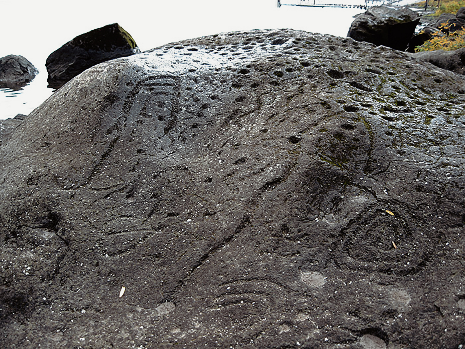 Oregon Territory America Rock Art Petroglyphs Pictographs