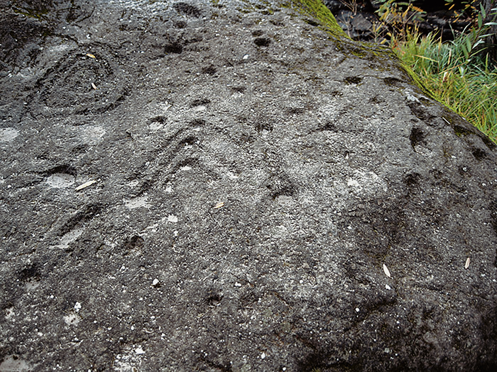 Oregon Territory America Rock Art Petroglyphs Pictographs
