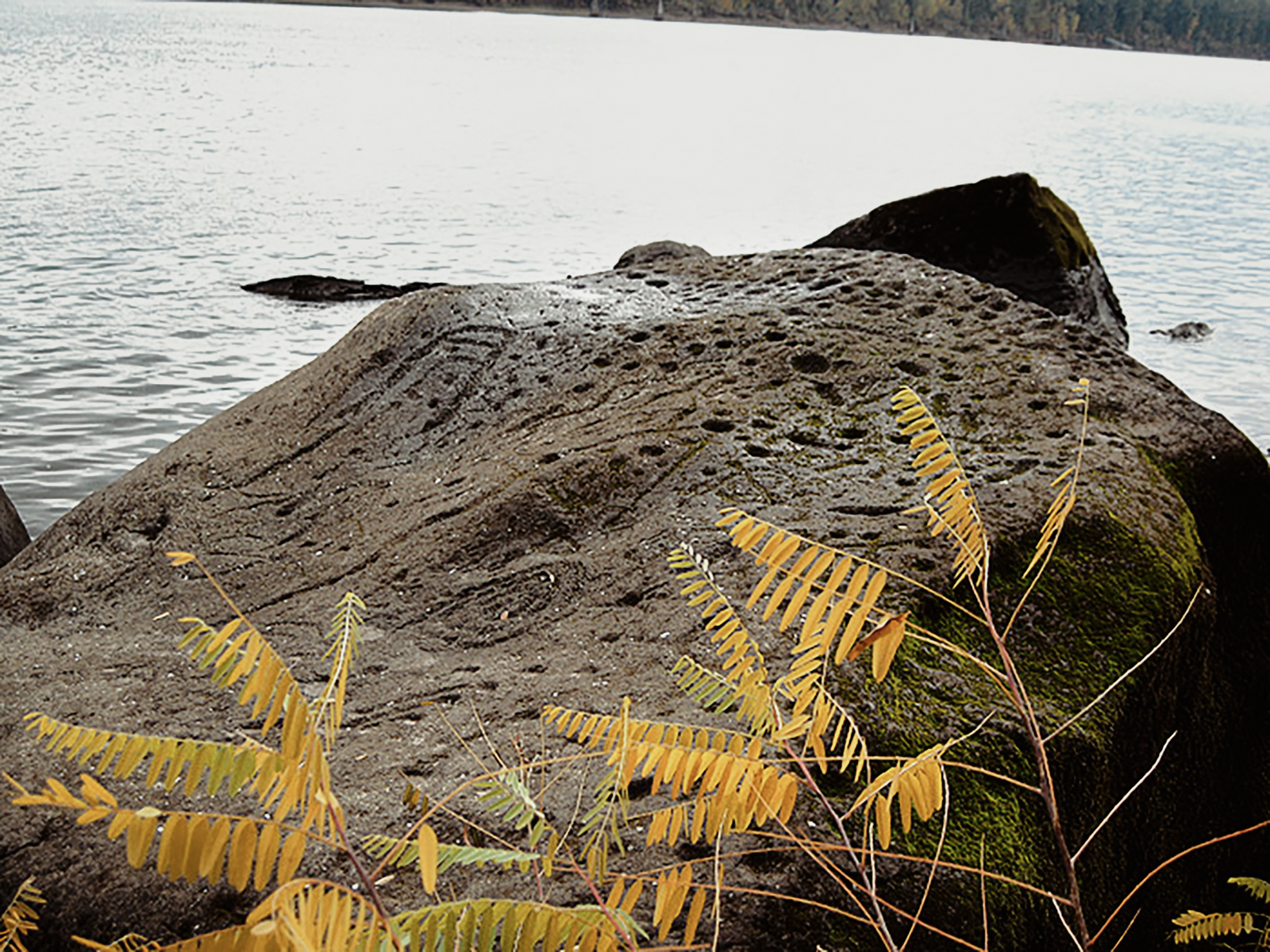 Oregon Territory America Rock Art Petroglyphs Pictographs