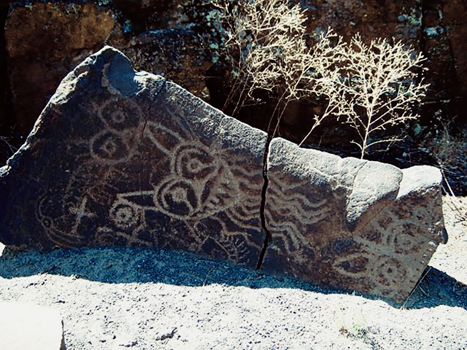 Oregon Territory America Rock Art Petroglyphs Pictographs