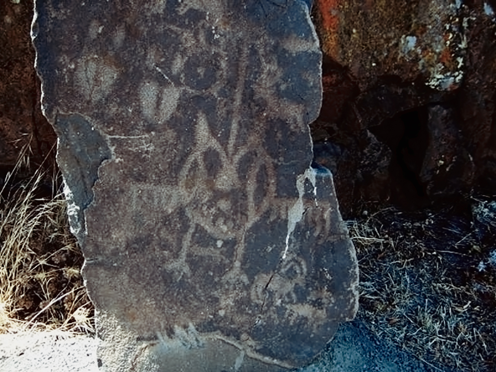 Oregon Territory America Rock Art Petroglyphs Pictographs