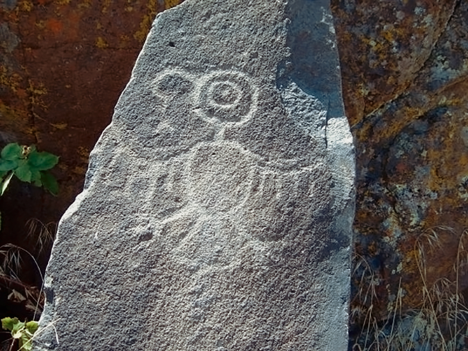 Oregon Territory America Rock Art Petroglyphs Pictographs