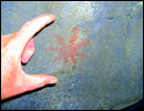 Oregon Territory America Rock Art Petroglyphs Pictographs