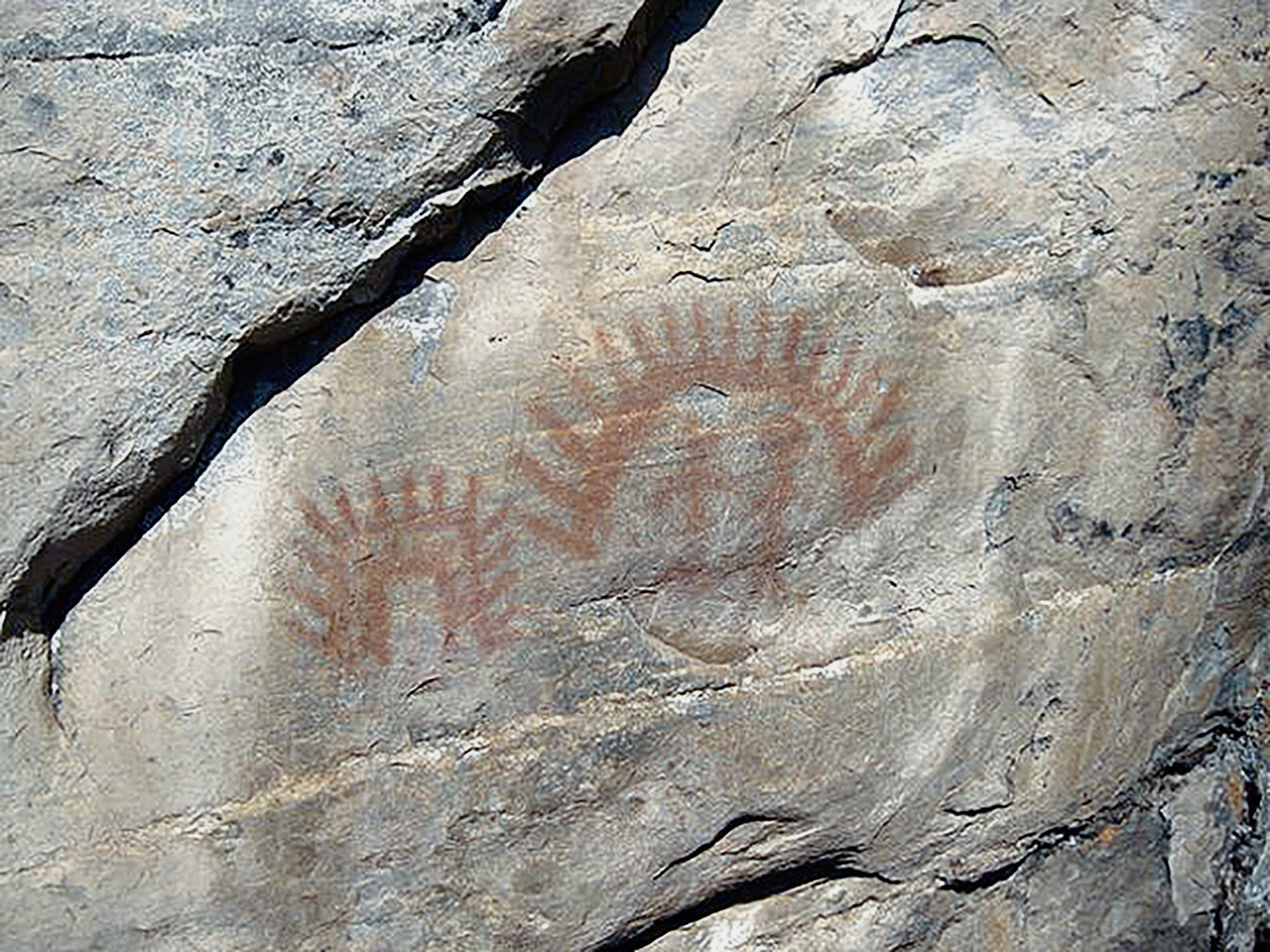 Oregon Territory America Rock Art Petroglyphs Pictographs