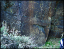 Oregon Territory America Rock Art Petroglyphs Pictographs