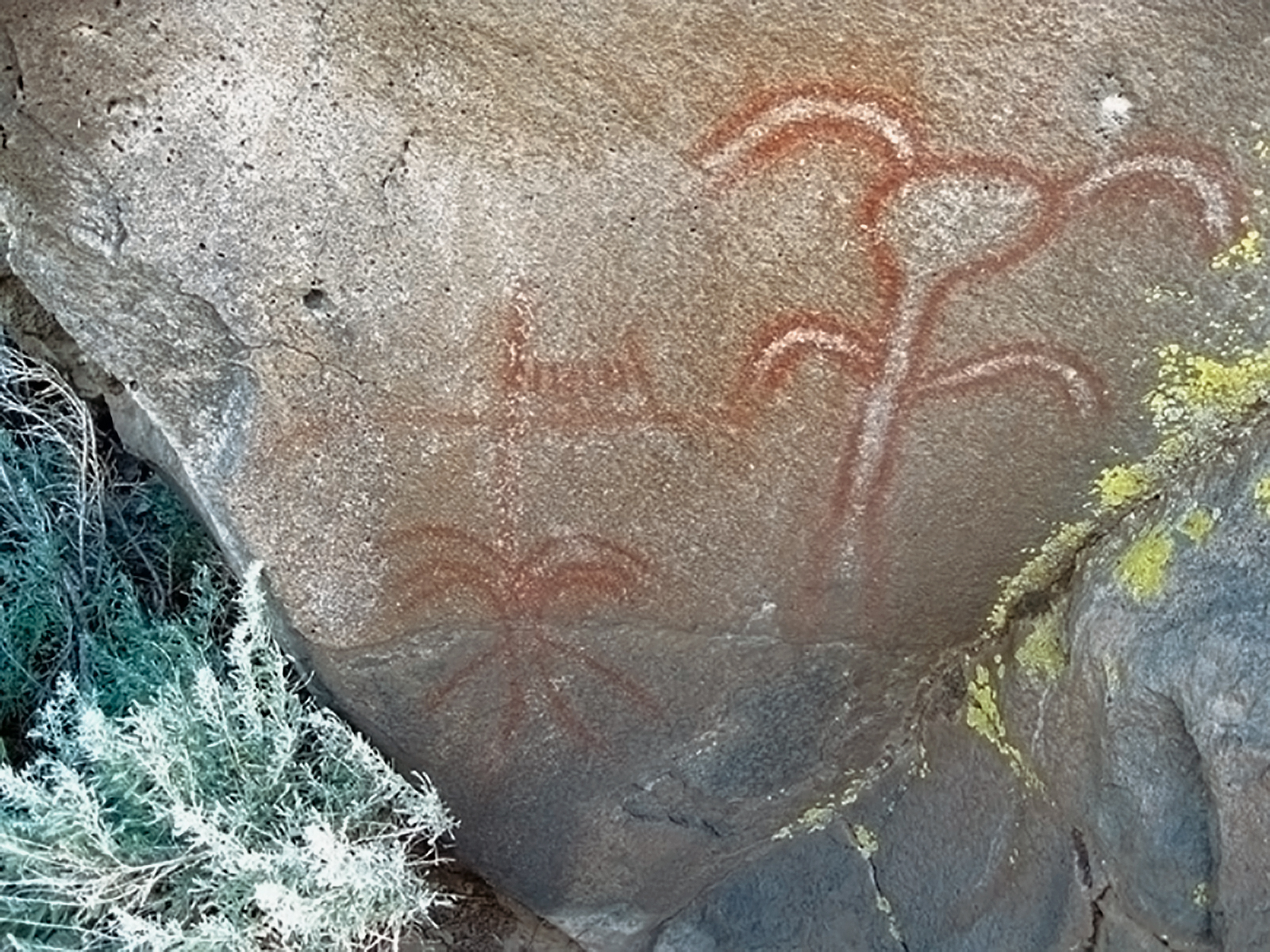 Oregon Territory America Rock Art Petroglyphs Pictographs