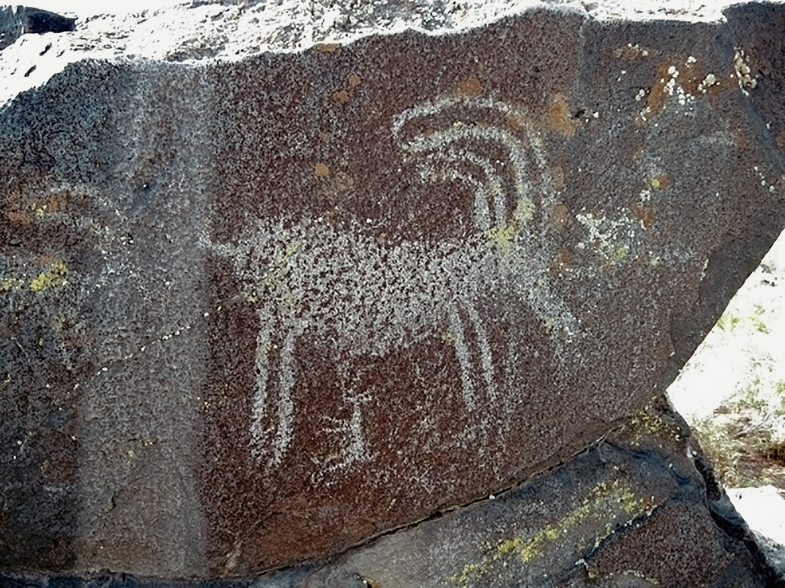 Oregon Territory America Rock Art Petroglyphs Pictographs