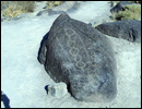 Oregon Territory America Rock Art Petroglyphs Pictographs