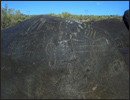 Oregon Territory America Rock Art Petroglyphs Pictographs