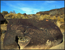 Oregon Territory America Rock Art Petroglyphs Pictographs