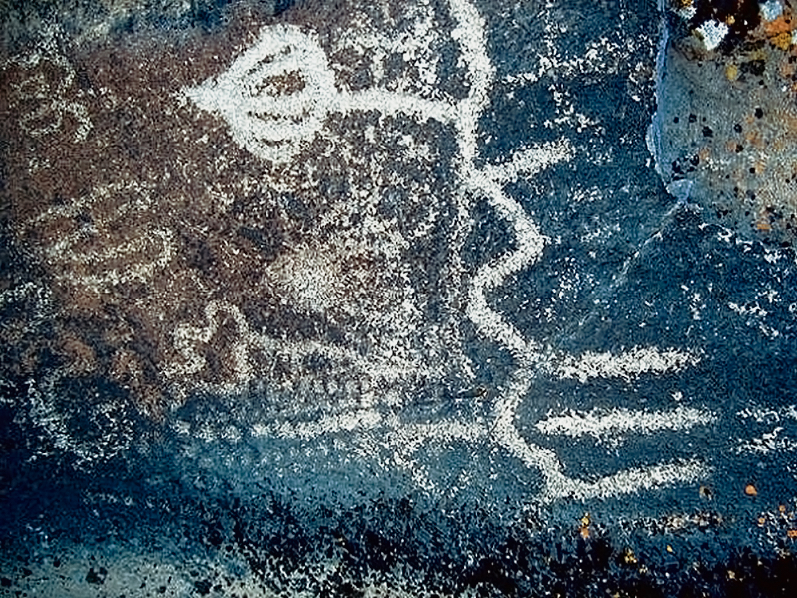 Oregon Territory America Rock Art Petroglyphs Pictographs