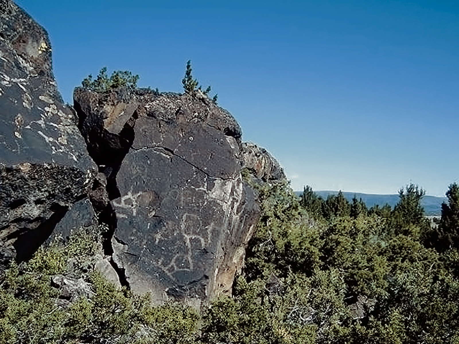 Oregon Territory America Rock Art Petroglyphs Pictographs