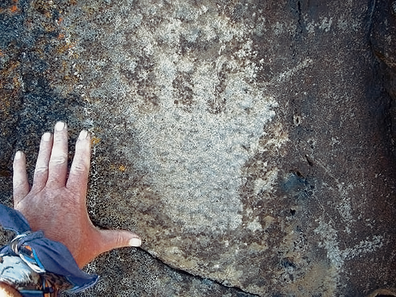 Oregon Territory America Rock Art Petroglyphs Pictographs