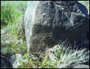 Oregon Territory America Rock Art Petroglyphs Pictographs