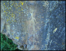 Oregon Territory America Rock Art Petroglyphs Pictographs