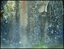 Oregon Territory America Rock Art Petroglyphs Pictographs