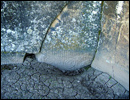 Oregon Territory America Rock Art Petroglyphs Pictographs