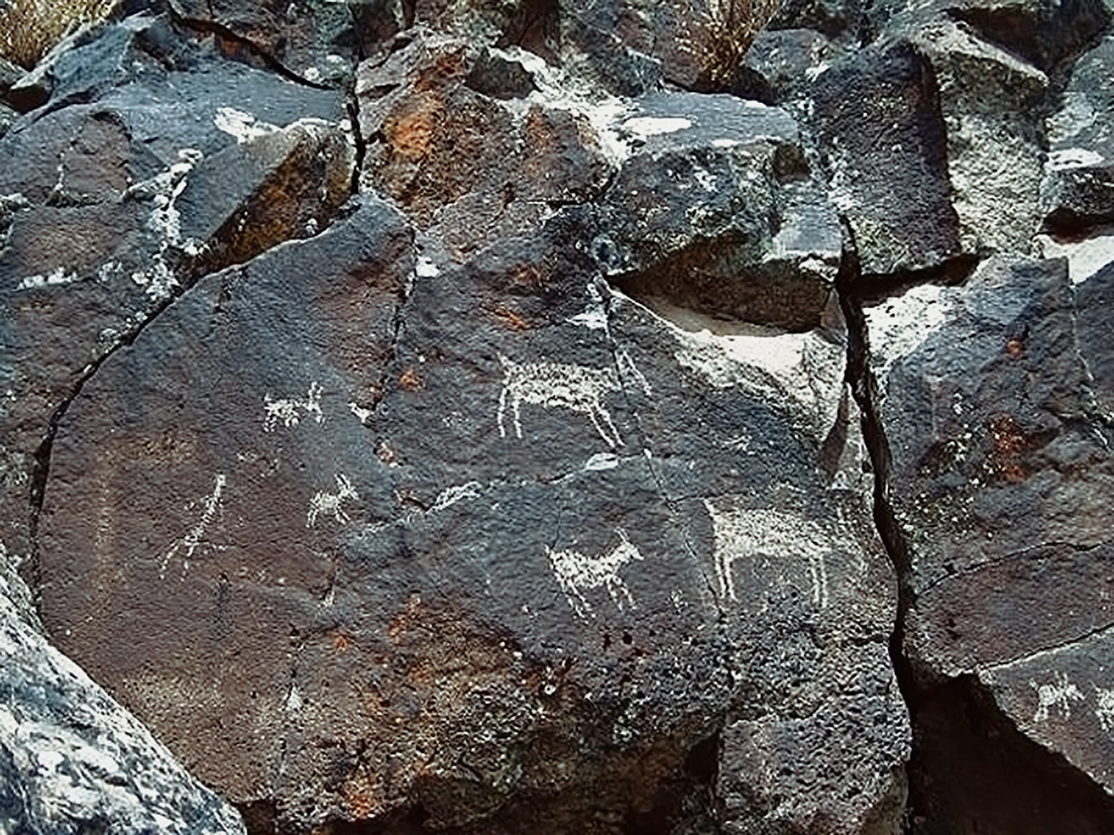 Oregon Territory America Rock Art Petroglyphs Pictographs