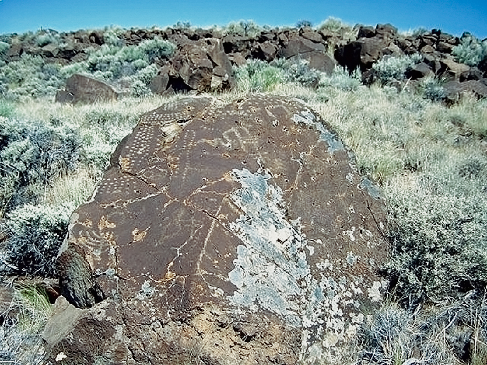 Oregon Territory America Rock Art Petroglyphs Pictographs
