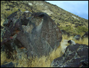 Oregon Territory America Rock Art Petroglyphs Pictographs