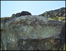 Oregon Territory America Rock Art Petroglyphs Pictographs
