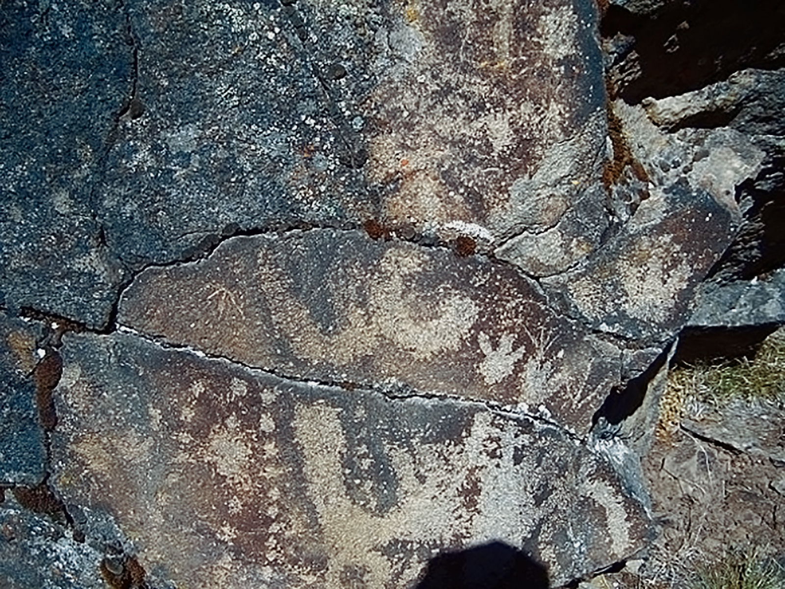 Oregon Territory America Rock Art Petroglyphs Pictographs