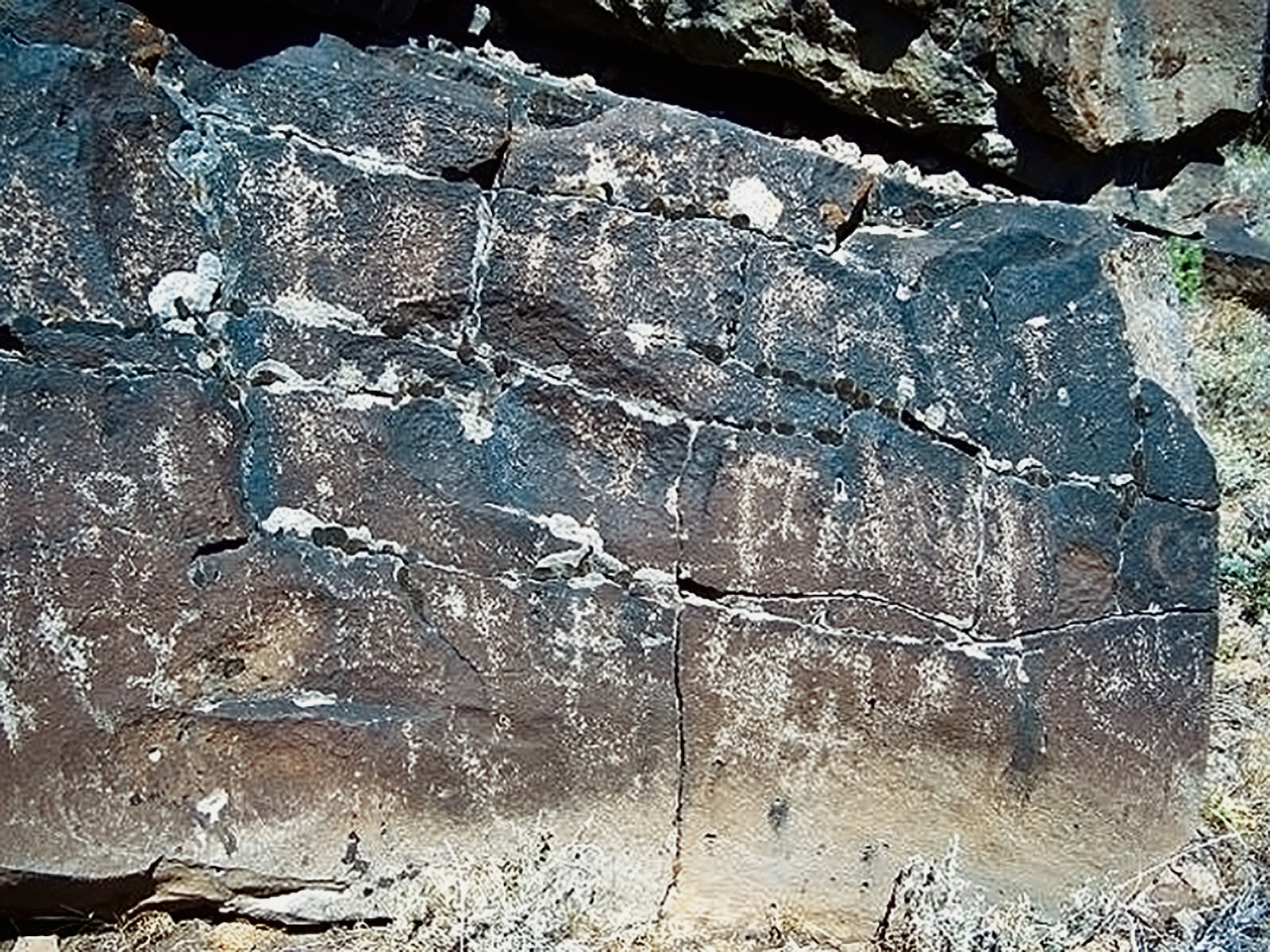 Oregon Territory America Rock Art Petroglyphs Pictographs
