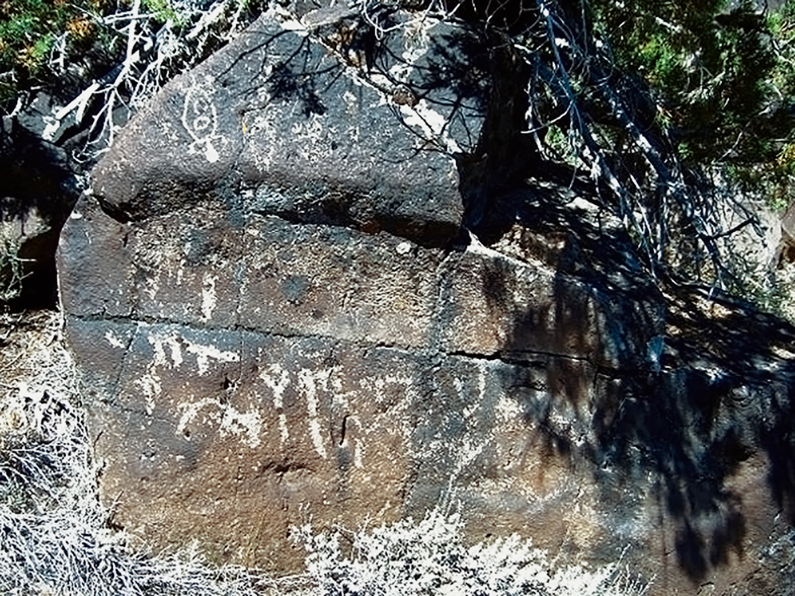 Oregon Territory America Rock Art Petroglyphs Pictographs