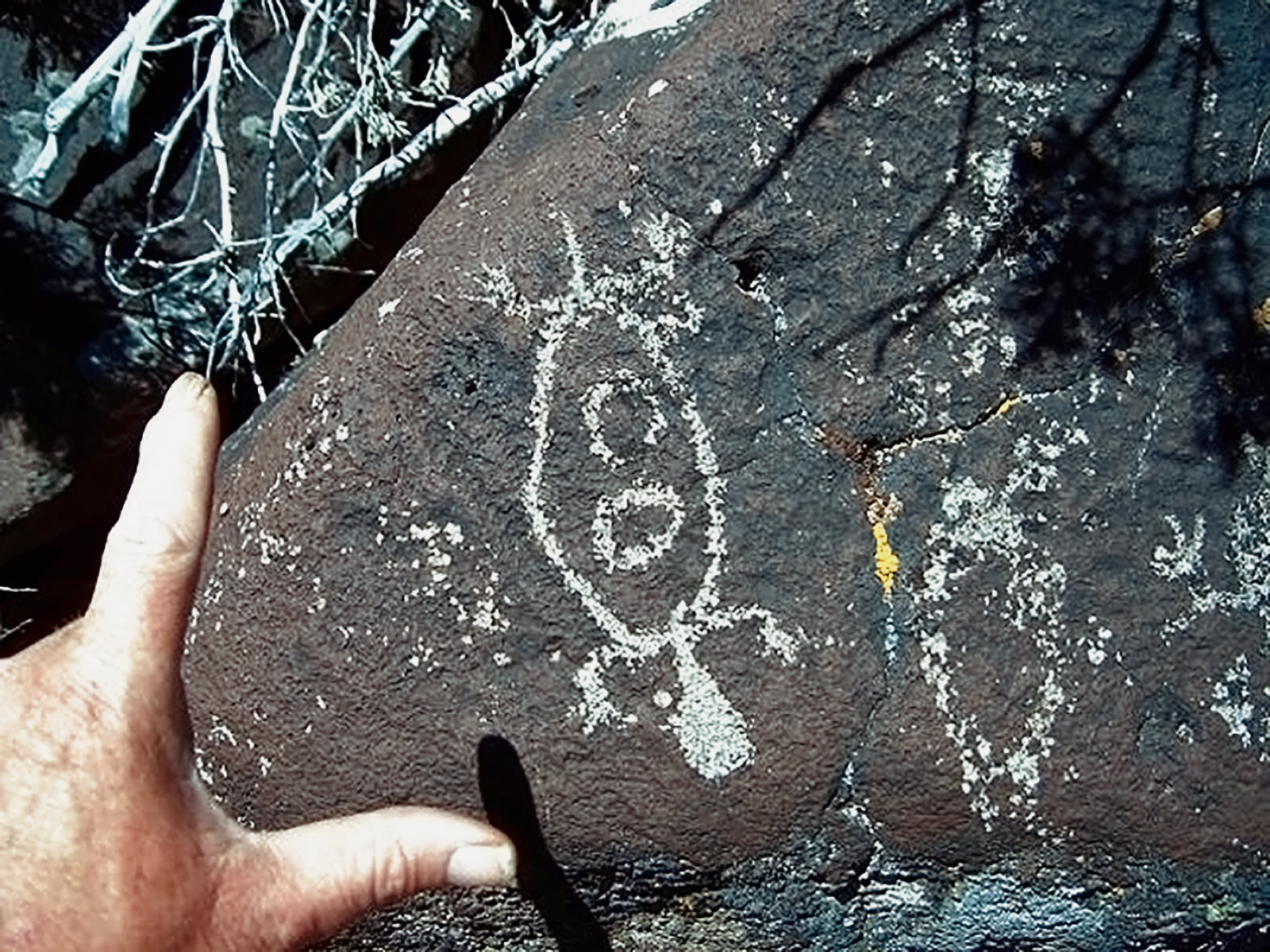 Oregon Territory America Rock Art Petroglyphs Pictographs