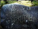 Oregon Territory America Rock Art Petroglyphs Pictographs