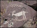 Oregon Territory America Rock Art Petroglyphs Pictographs