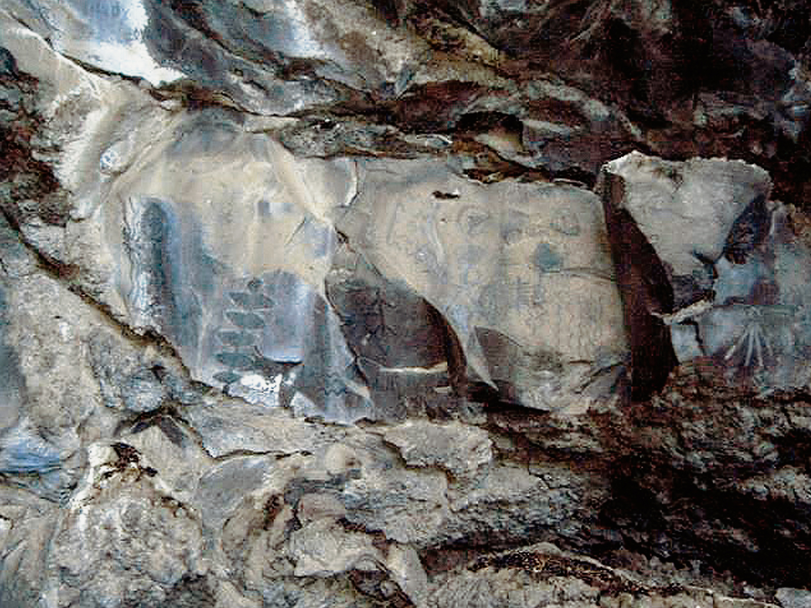 Oregon Territory America Rock Art Petroglyphs Pictographs