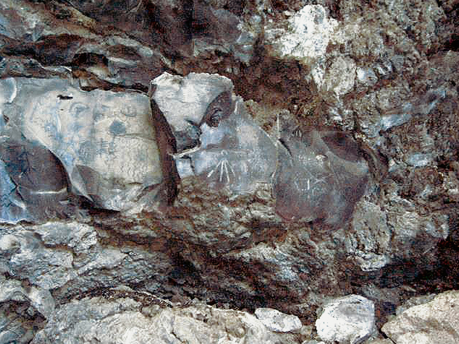 Oregon Territory America Rock Art Petroglyphs Pictographs