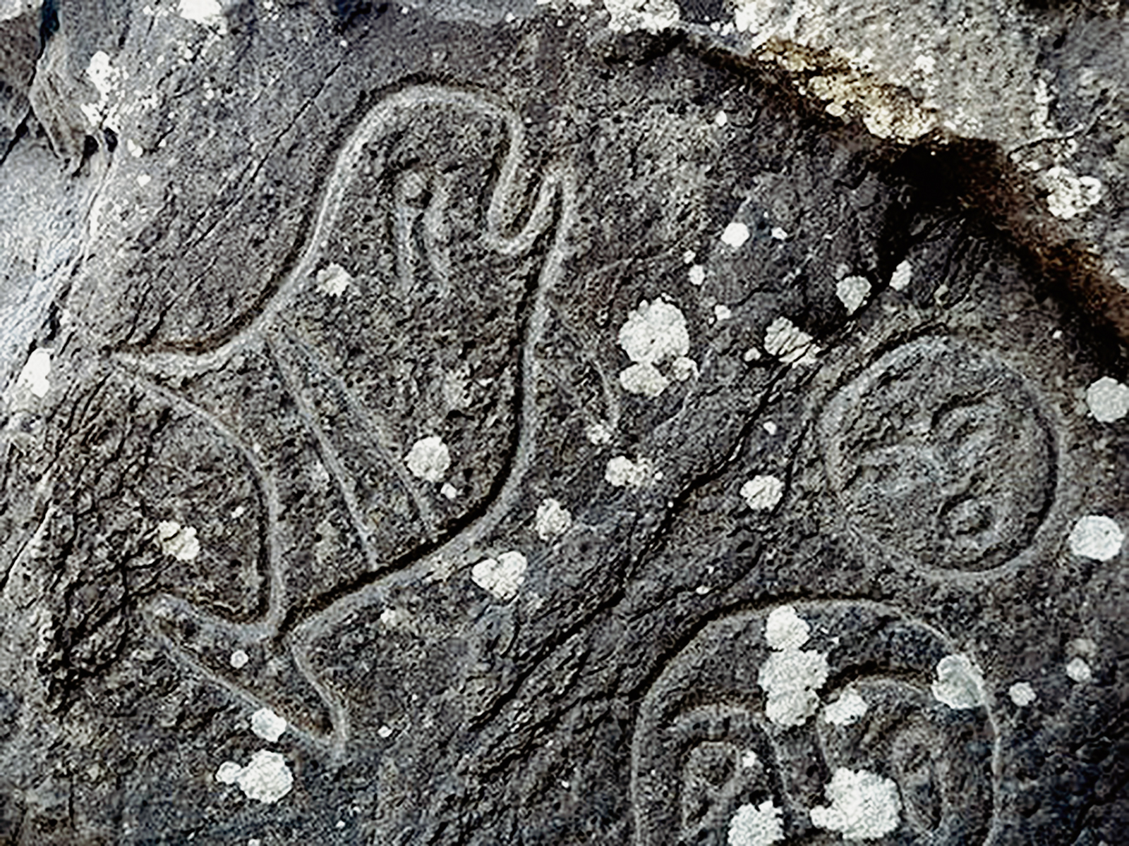 Oregon Territory America Rock Art Petroglyphs Pictographs