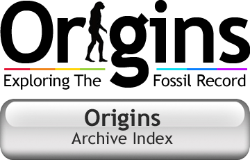 Origins Exploring The Fossile Record