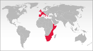 map9.gif