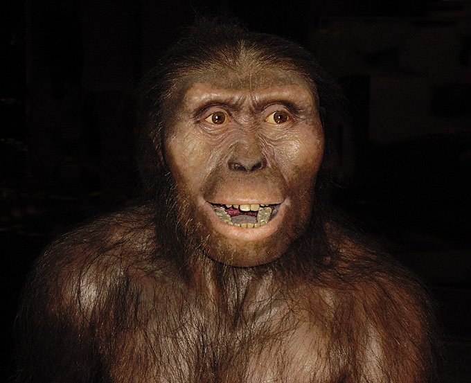 Resultado de imagen de Australopithecus afarensis