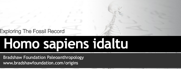 Homo sapiens idaltu