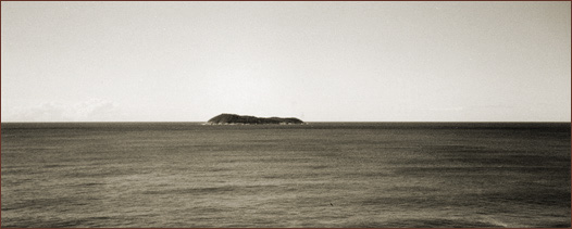 Coral Island Santa Catarina Brazil