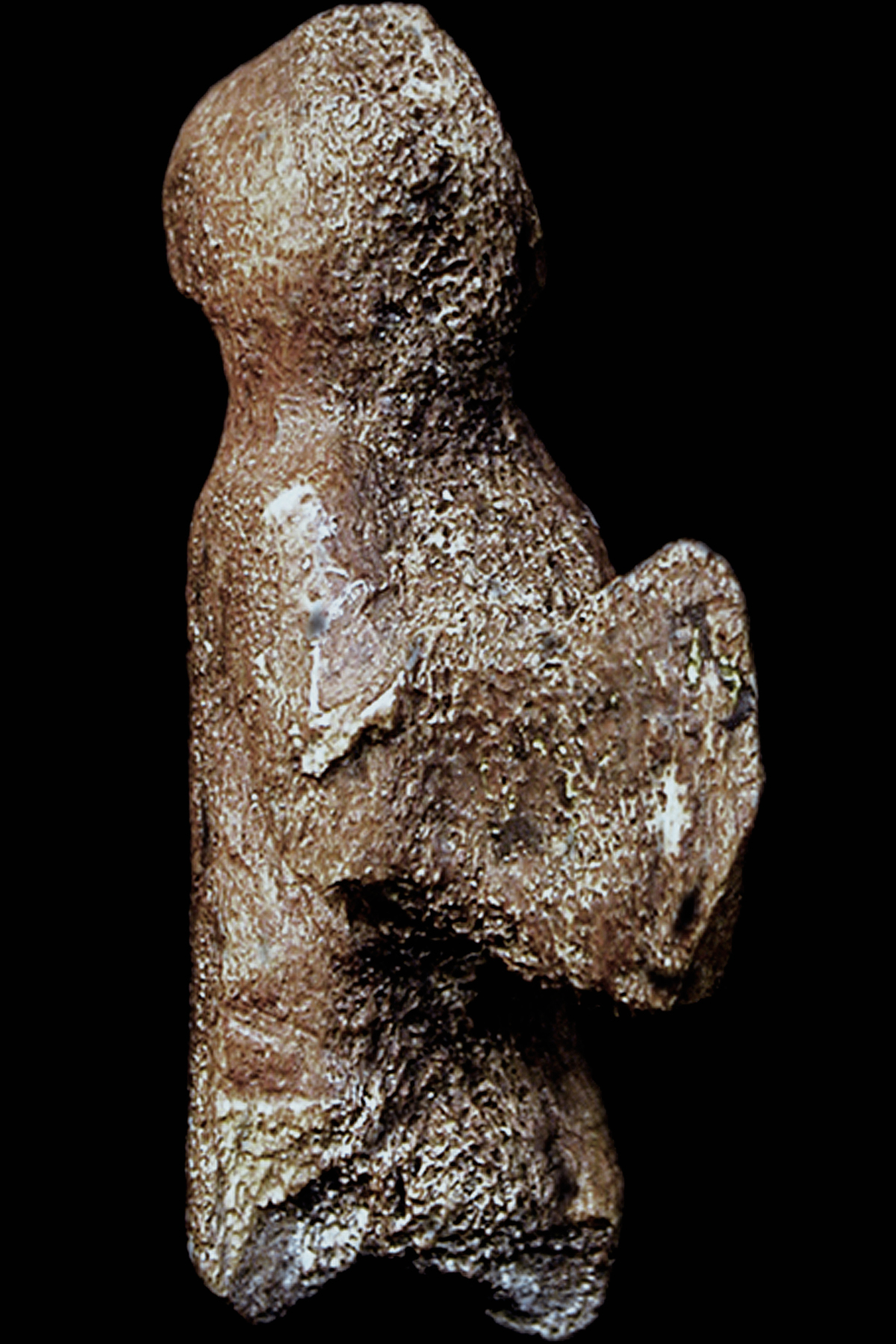 Figure with Raised Arms Sculptures of the Ice Age