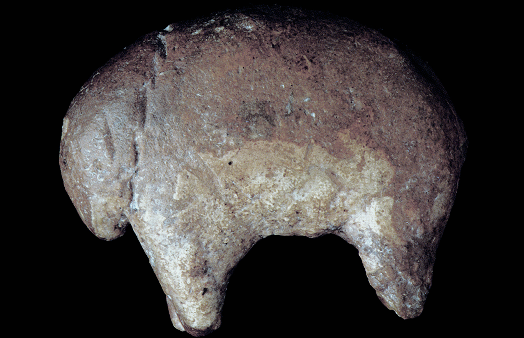 Mammoth Sculptures of the Ice Age