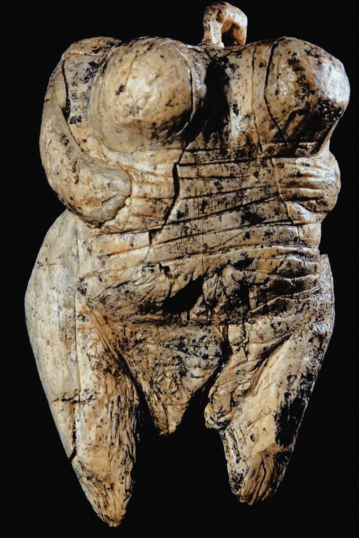 Venus of Hohle Fels Sculptures of the Ice Age